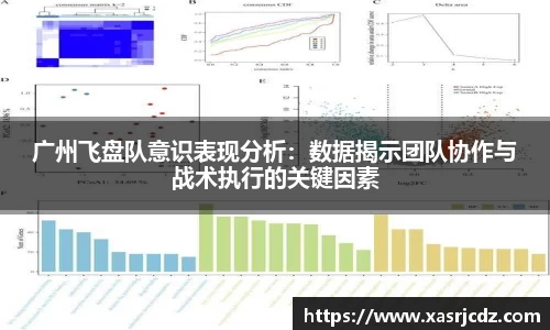 广州飞盘队意识表现分析：数据揭示团队协作与战术执行的关键因素